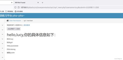 网络安全第八天 不安全的文件上传漏洞与相关安全风险